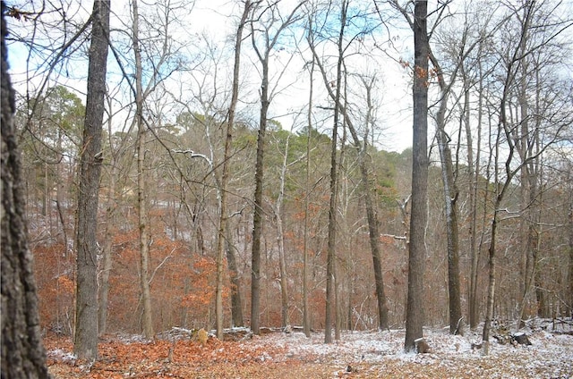 view of local wilderness with a wooded view