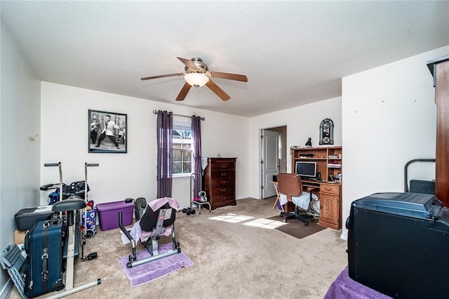410 Paradise Heights Dr, Berryville, AR 72616 - workout area with carpet flooring, ceiling fan, and a textured ceiling