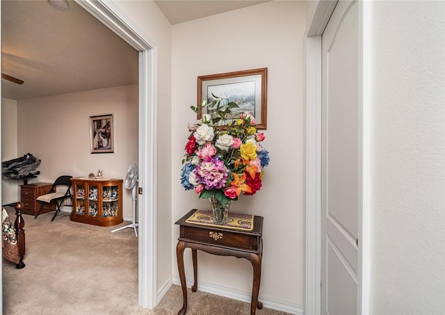 410 Paradise Heights Dr, Berryville, AR 72616 - corridor with light carpet and baseboards