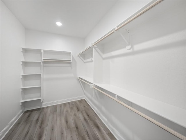 spacious closet featuring wood finished floors