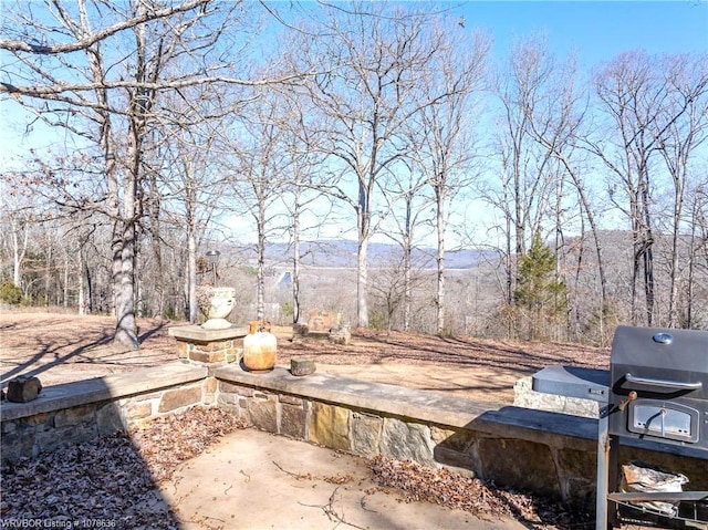 view of yard featuring a mountain view