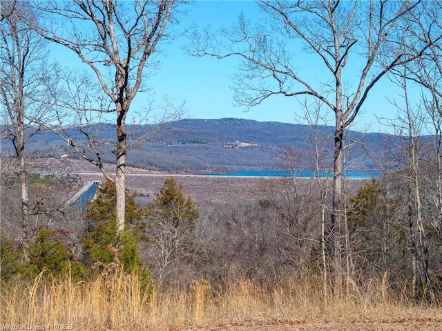 1099 Serviceberry Rd, Mountainburg, AR 72946 - photo 13