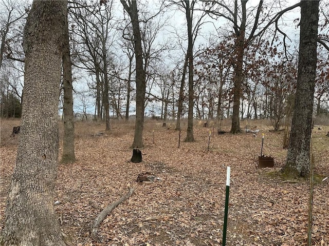 view of local wilderness