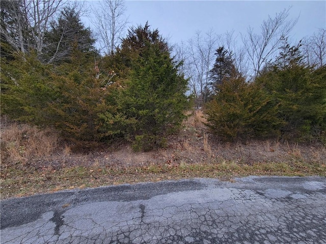 Listing photo 2 for LOT1 Oniell Cir, Bella Vista AR 72715