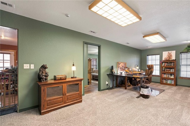 19407/19403 Dawn Hill E Rd, Gentry, AR 72734 - carpeted office space featuring baseboards, a wealth of natural light, and visible vents