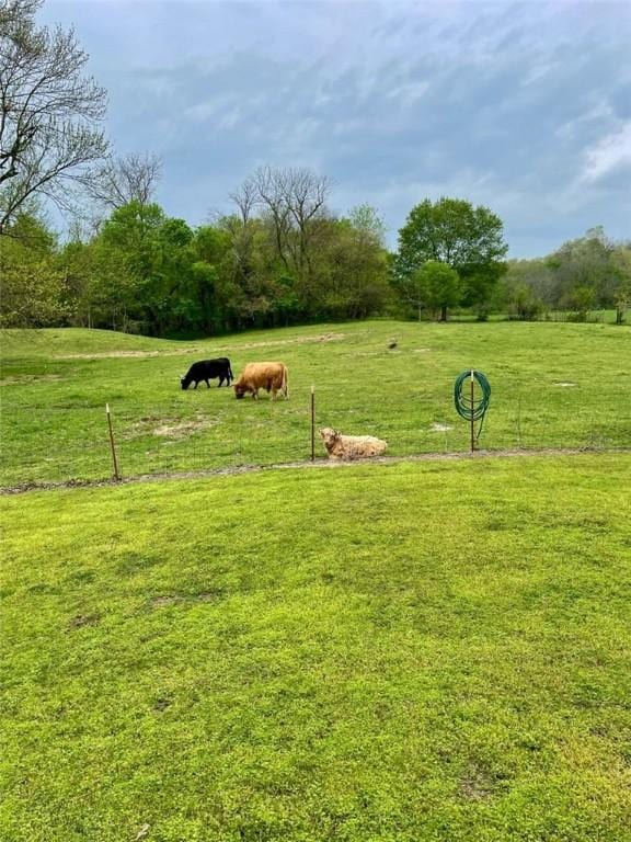 19407/19403 Dawn Hill E Rd, Gentry, AR 72734 - view of community featuring a yard and a rural view