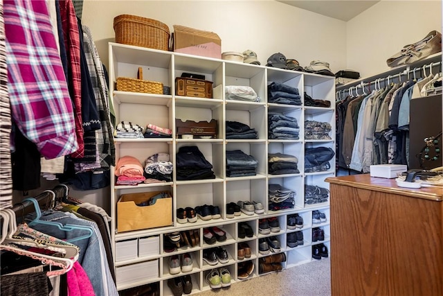 walk in closet with carpet