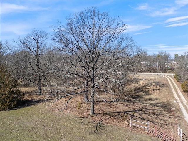 view of yard with dirt driveway