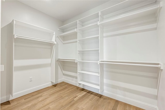 445 NW C St, Bentonville, AR 72712 - spacious closet featuring wood finished floors