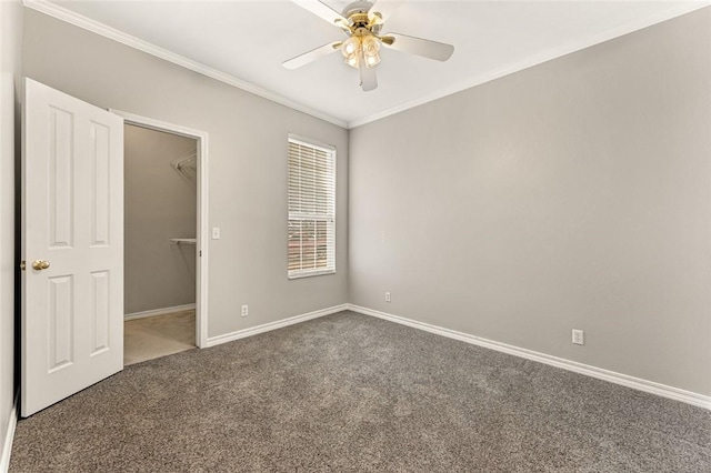 unfurnished bedroom with baseboards, a spacious closet, ornamental molding, and carpet flooring