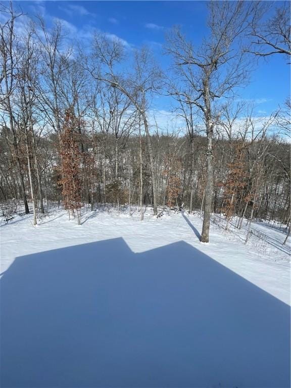 view of yard layered in snow