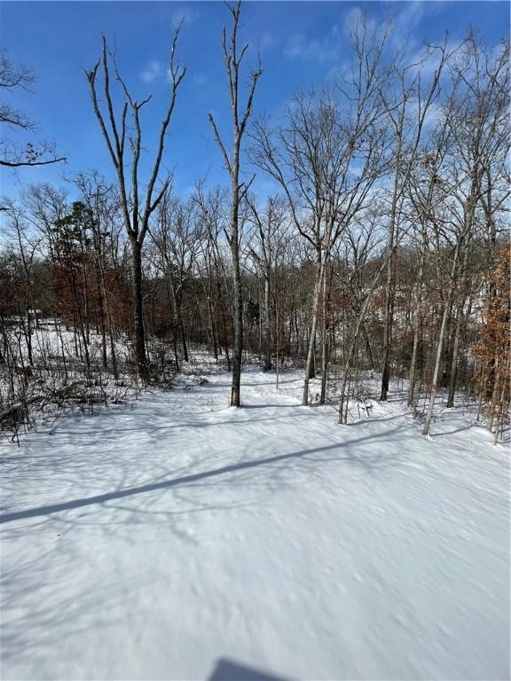 view of yard layered in snow