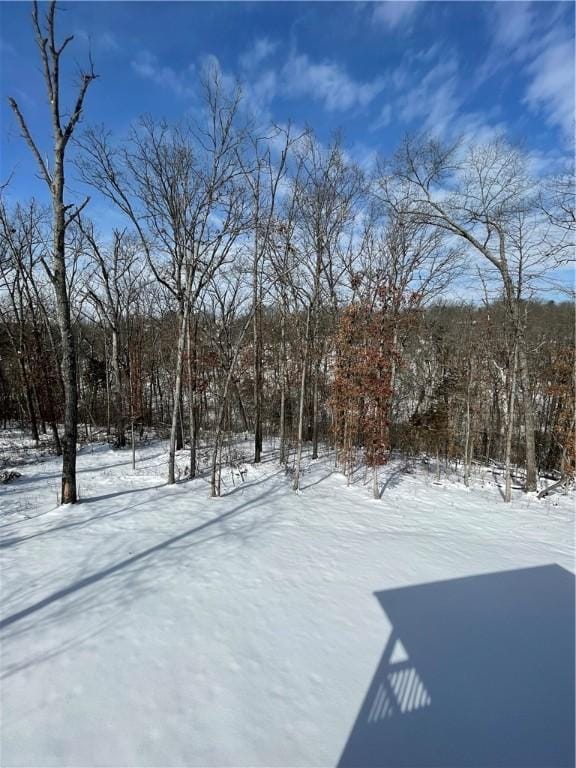 view of snowy yard