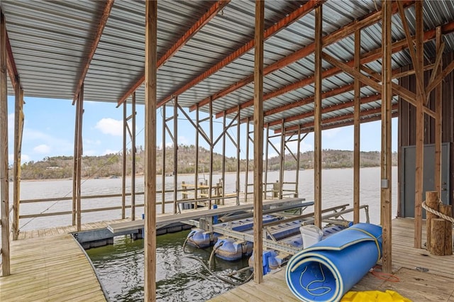 dock area with a water view