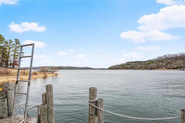 view of dock with a water view