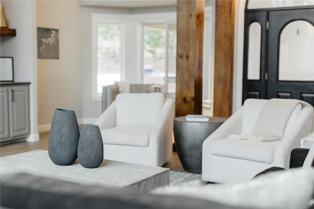 living area featuring wood finished floors