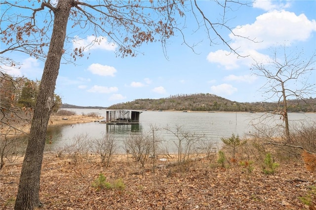 view of water feature featuring a floating dock