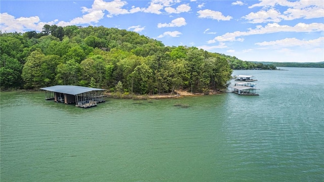 property view of water featuring a view of trees and a boat dock