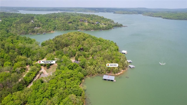 bird's eye view with a view of trees and a water view