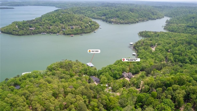 bird's eye view featuring a water view and a wooded view