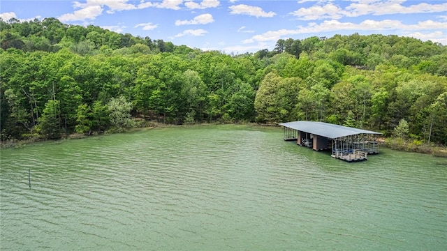 drone / aerial view with a view of trees and a water view