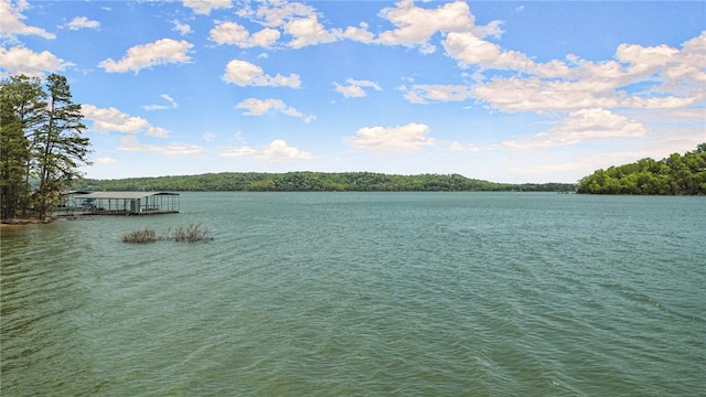 view of water feature featuring a dock