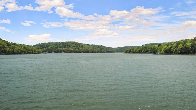 property view of water featuring a forest view