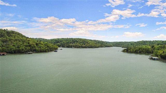 water view featuring a forest view