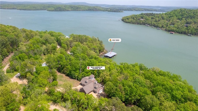 birds eye view of property with a water view and a wooded view