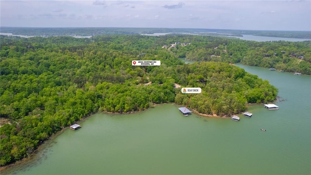 drone / aerial view featuring a view of trees and a water view