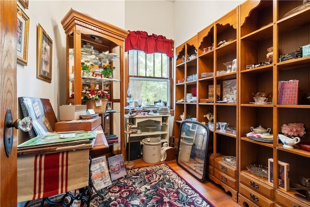 interior space with wood finished floors