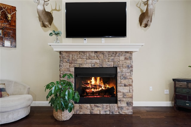 interior details featuring baseboards, wood finished floors, and a stone fireplace