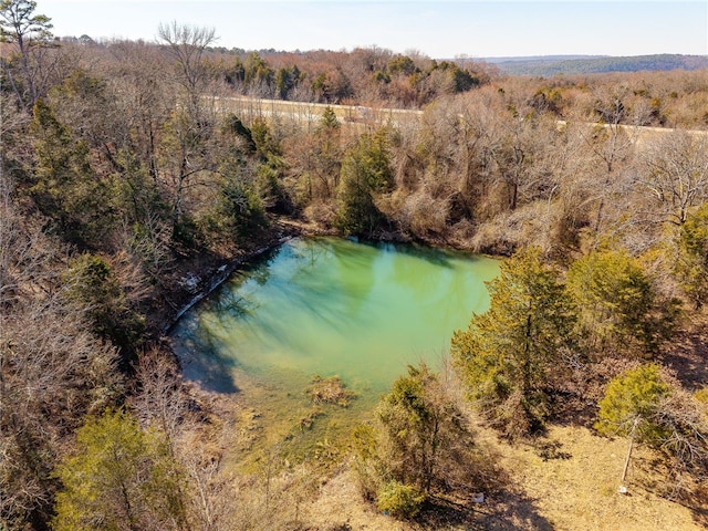 drone / aerial view featuring a view of trees and a water view