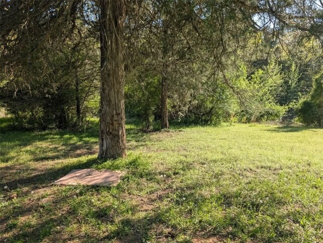 view of yard featuring a view of trees