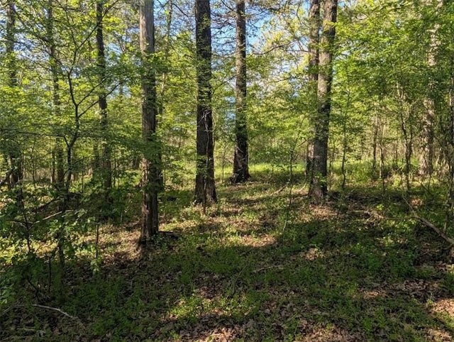 view of local wilderness featuring a forest view