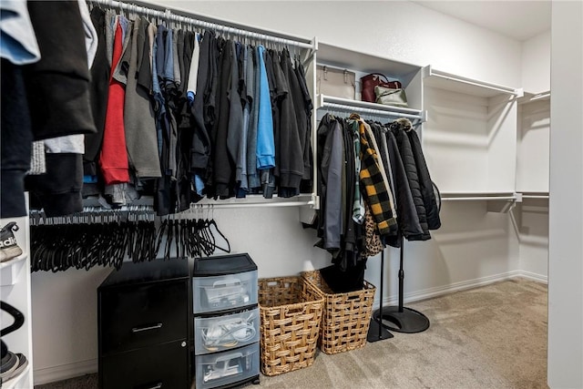 spacious closet featuring carpet flooring