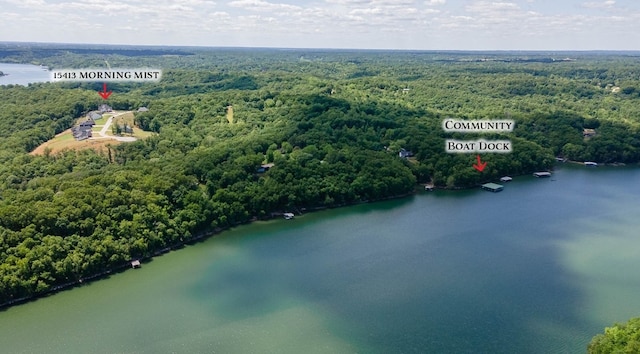 drone / aerial view featuring a water view and a wooded view