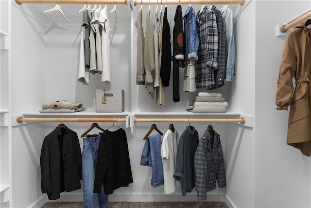 view of spacious closet