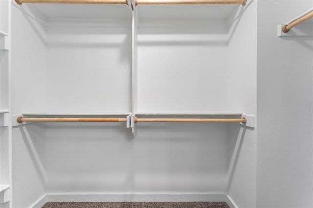 spacious closet featuring carpet floors