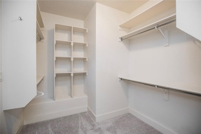 3601 SW Willowbrook Rd, Bentonville, AR 72713 - spacious closet featuring carpet