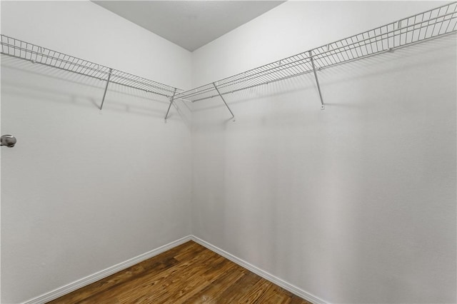 walk in closet with dark wood finished floors