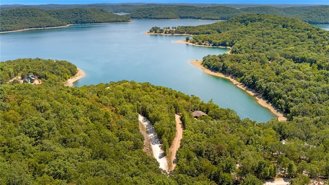 drone / aerial view with a water view and a wooded view