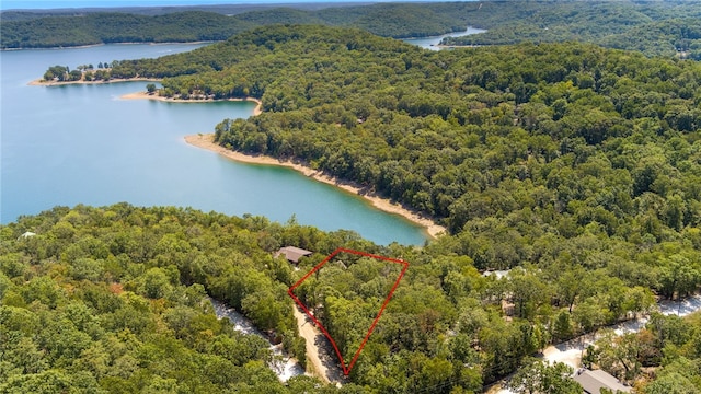 bird's eye view featuring a water view and a forest view