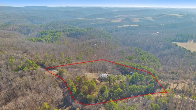 bird's eye view featuring a mountain view and a view of trees