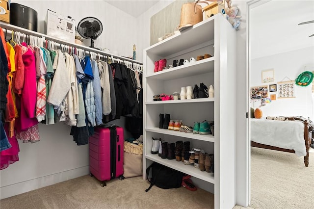 3205 Mc 4021, Everton, AR 72633 - spacious closet with carpet