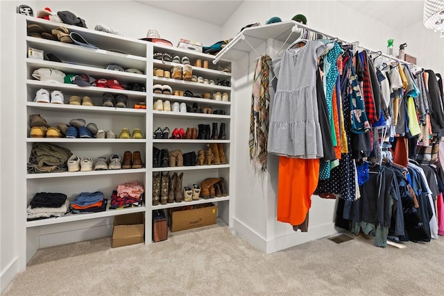 3205 Mc 4021, Everton, AR 72633 - walk in closet featuring carpet flooring