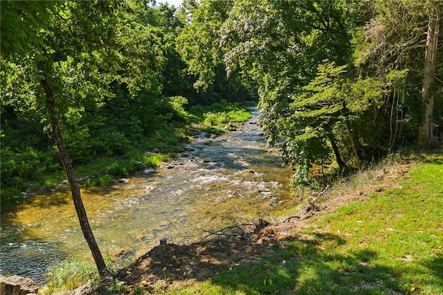 3205 Mc 4021, Everton, AR 72633 - view of woods