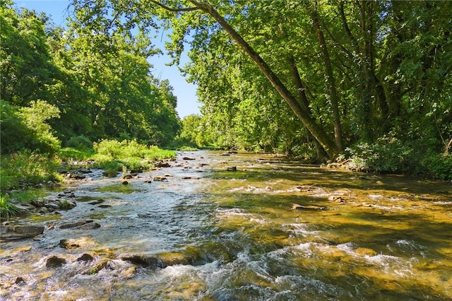 view of nature with a view of trees