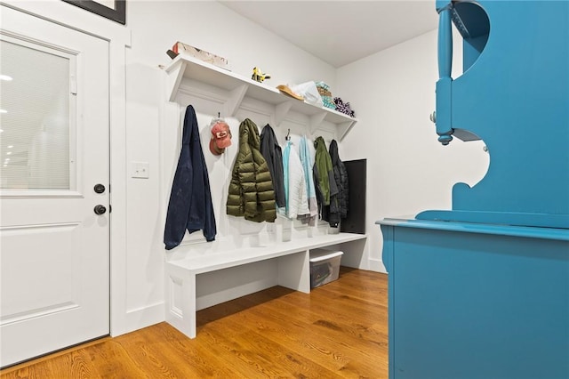 mudroom featuring wood finished floors