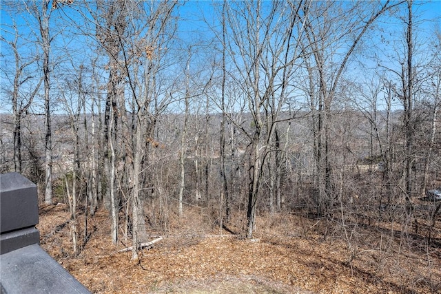 view of local wilderness featuring a view of trees